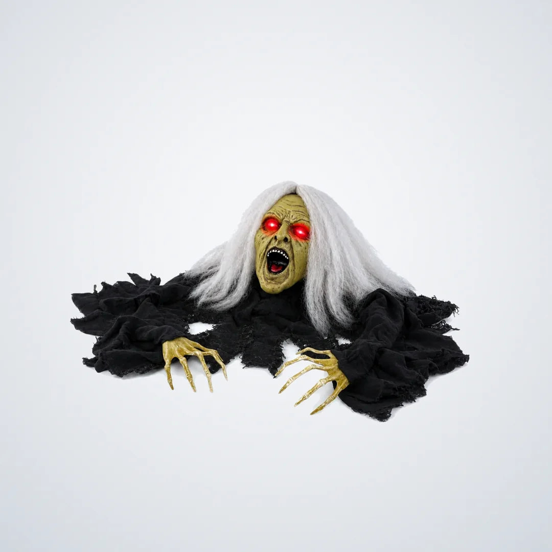 Covenfield Witch Animatronic, photo 1