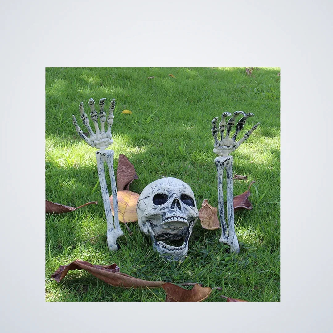 Heathgrave Buried Skeleton, photo 1