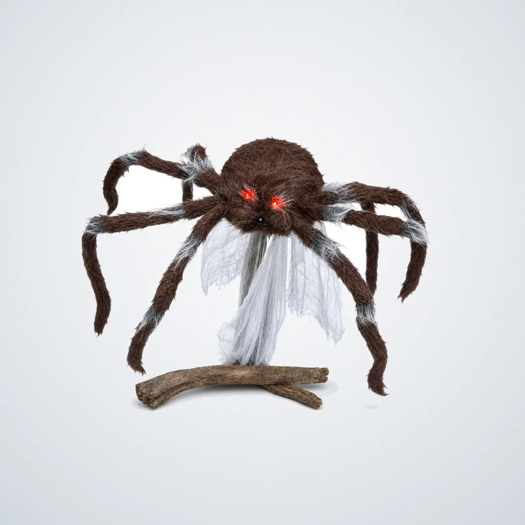 Mawholt Spider, photo 1