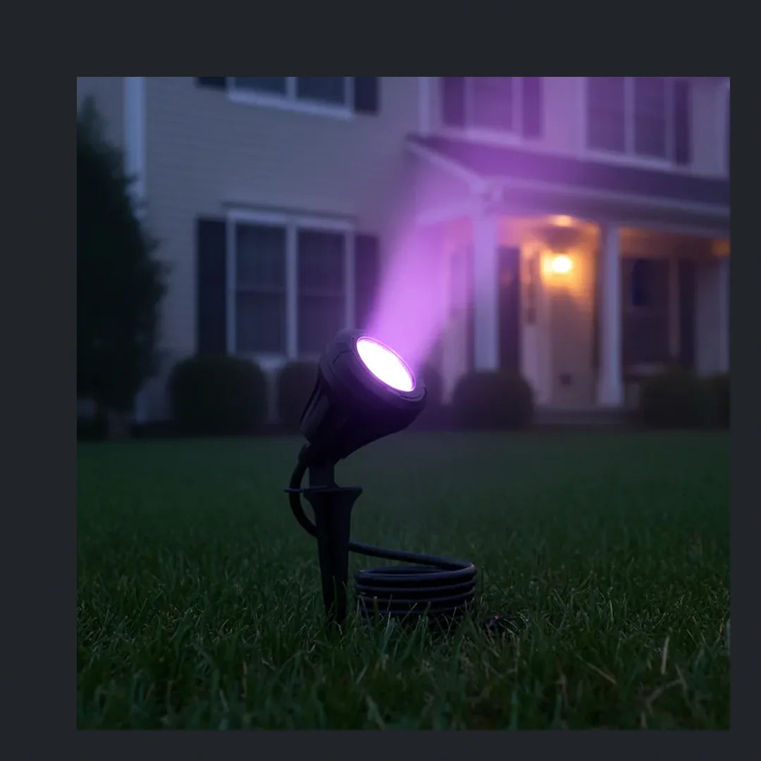 Ruewick Spotlight, photo 2