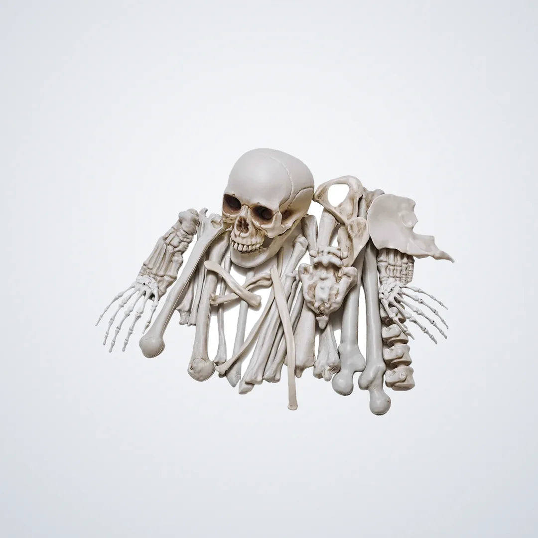 Shrikemoor Loose Bones, 28 pieces, photo 1