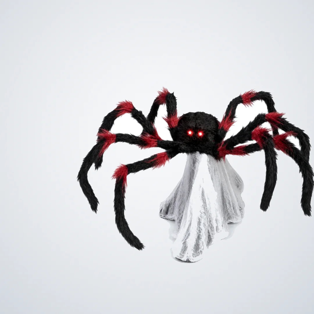 Sorrowfield Spider, photo 1
