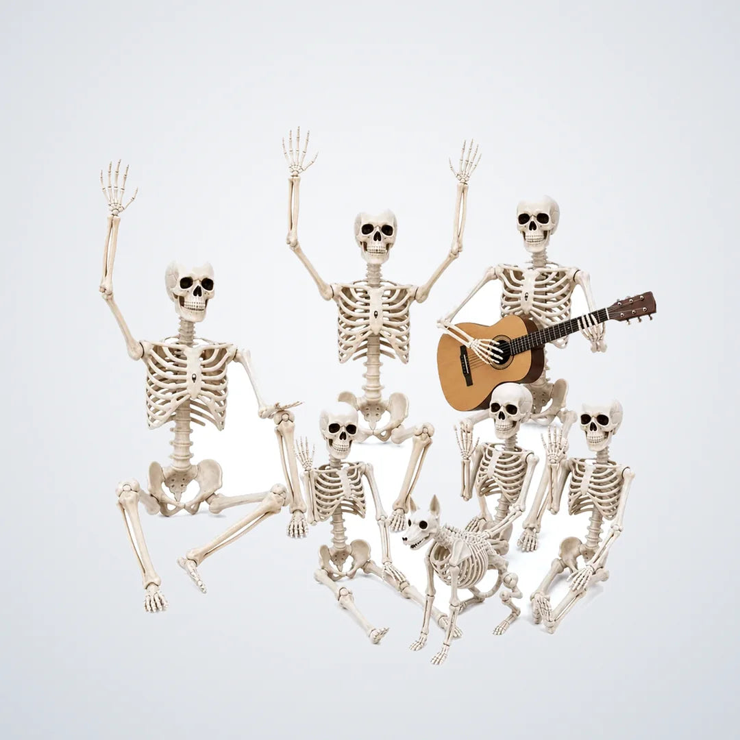 Thistlegrave Skeleton 6 pack (3 x 5.4 ft + 3 x 3 ft), photo 1