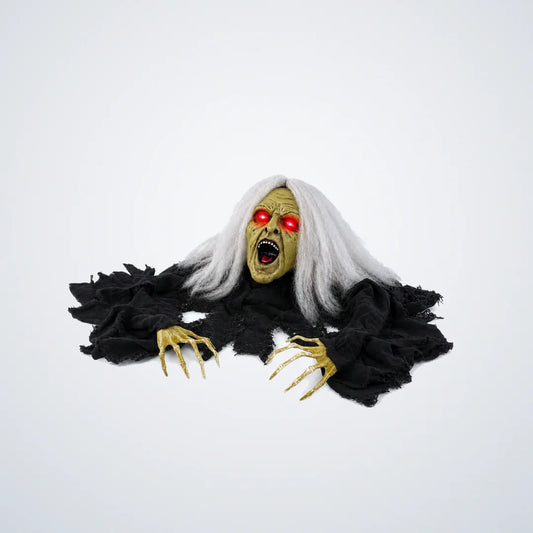 Covenfield Witch Animatronic, photo 1