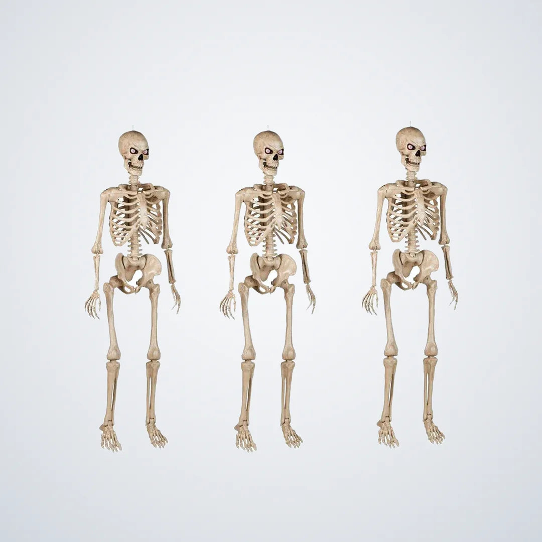 Cragmoor 5 ft Poseable Skeleton, 3 pack, photo 1