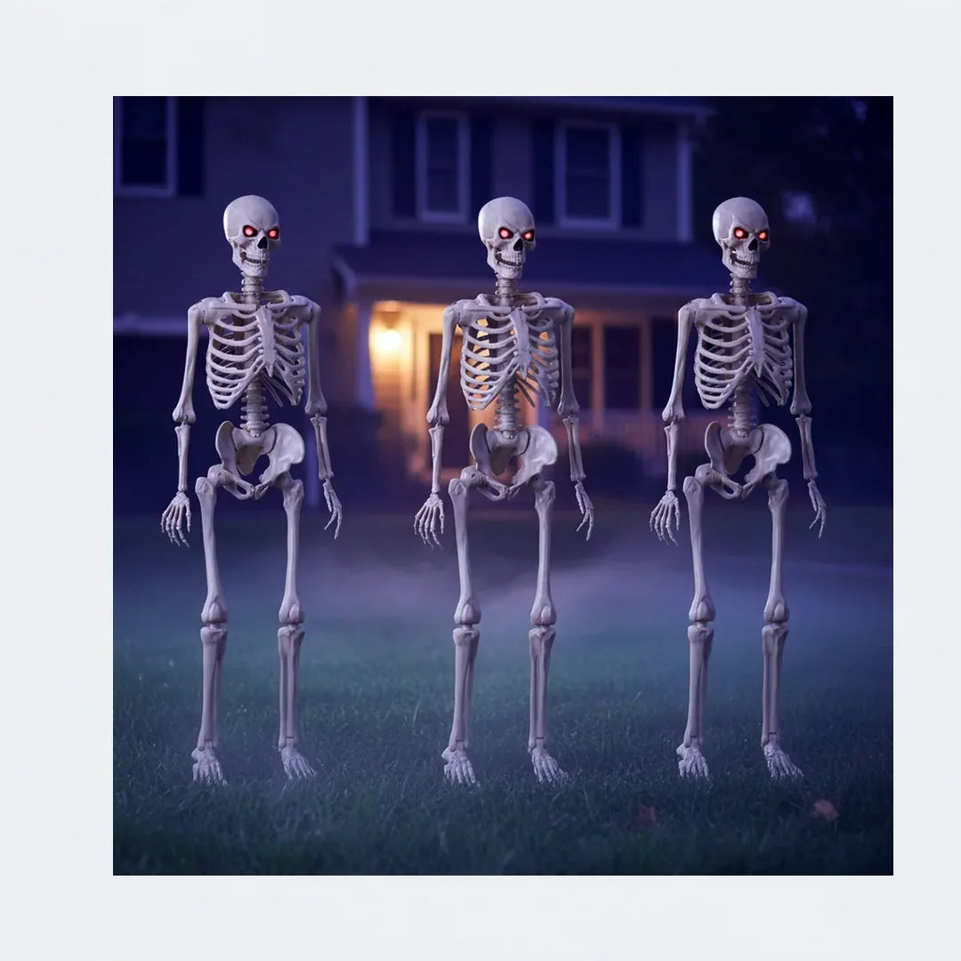 Cragmoor 5 ft Poseable Skeleton, 3 pack, photo 2