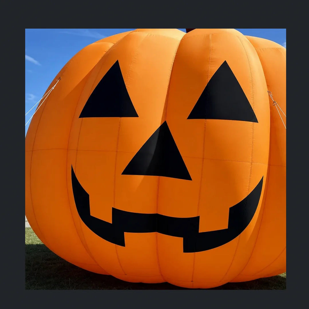 Fangmoor Giant Pumpkin, 20 ft, photo 3