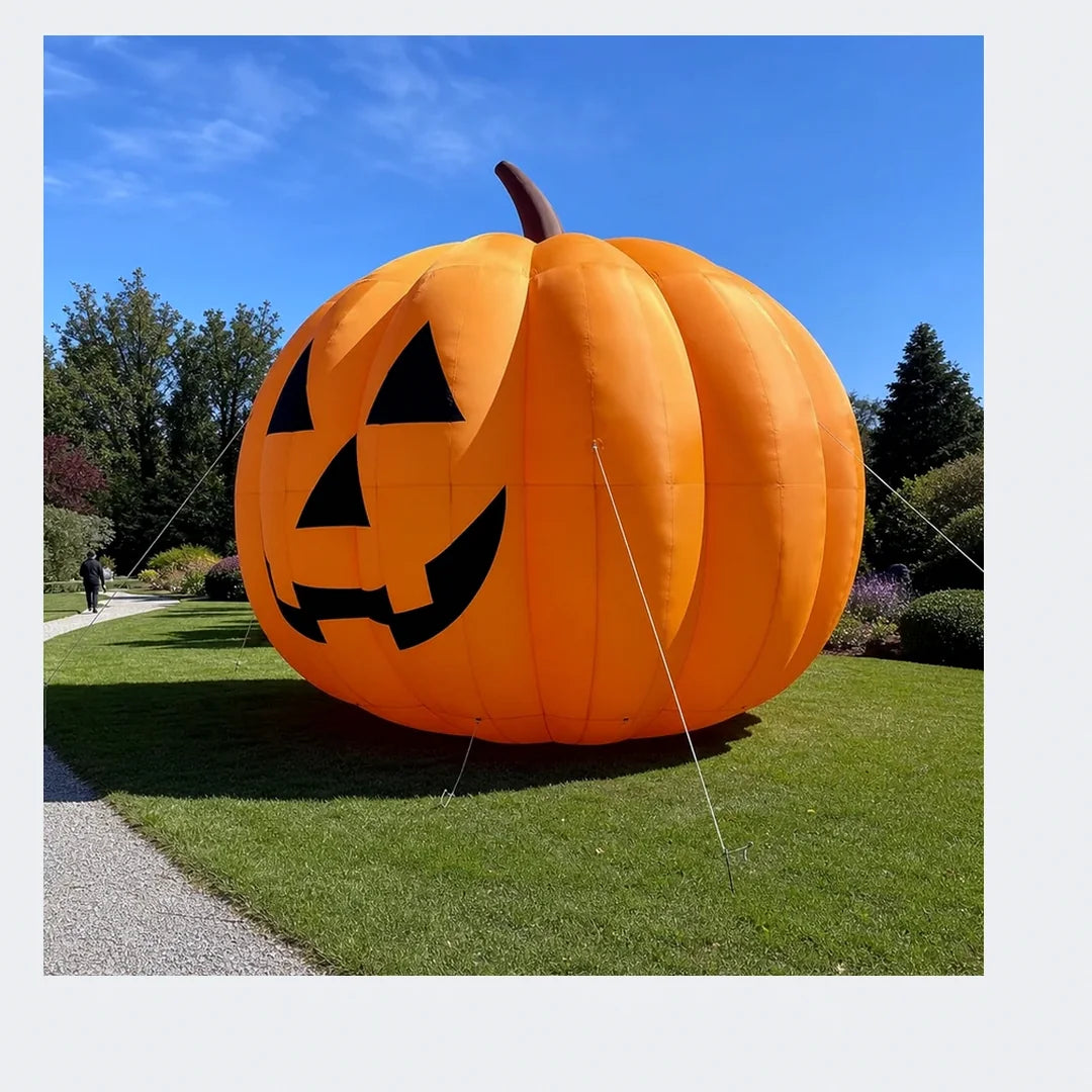 Fangmoor Giant Pumpkin, 20 ft, photo 6