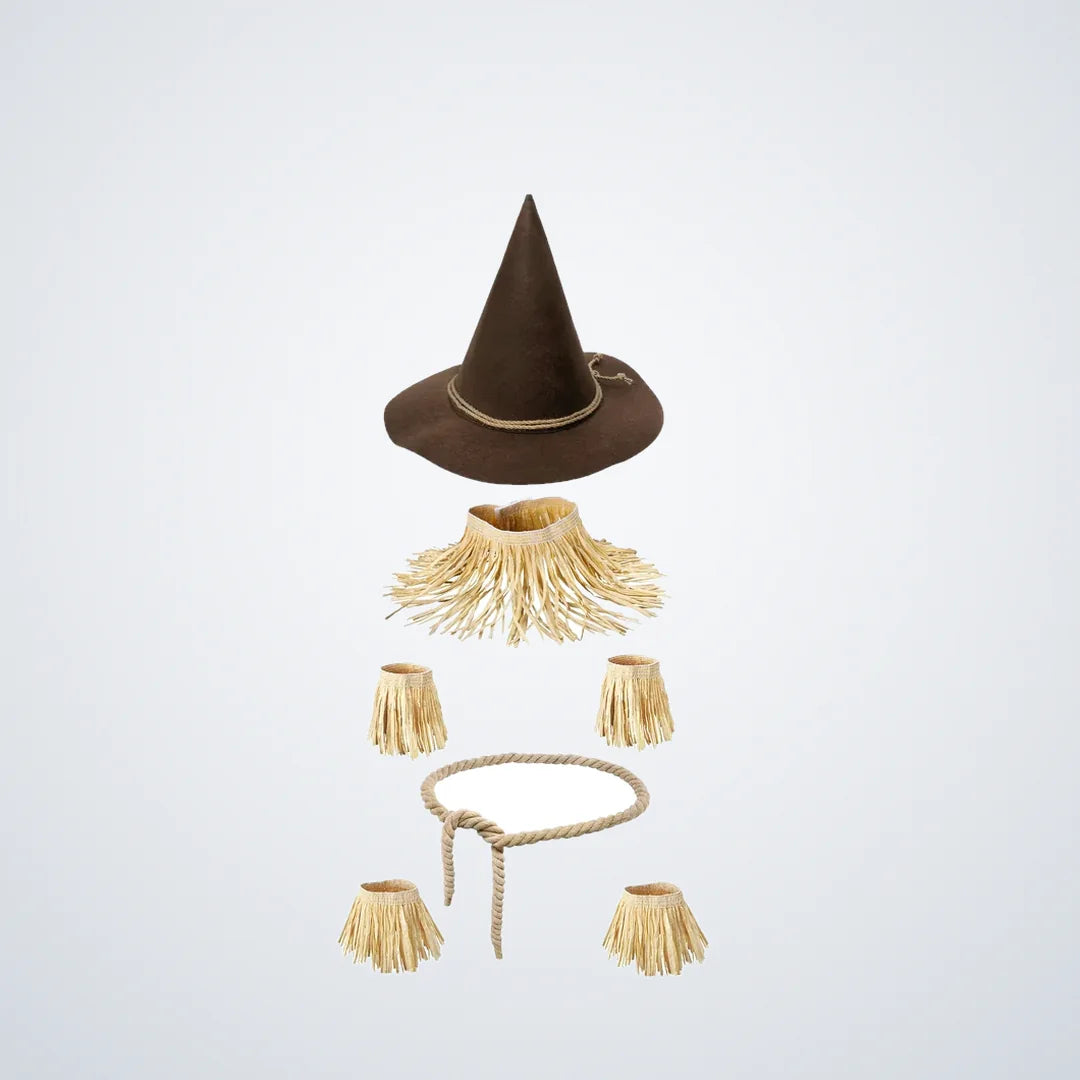 Fogholt Scarecrow Costume, photo 1