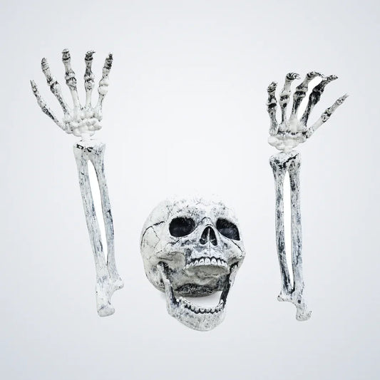 Fogholt Skeleton, photo 1
