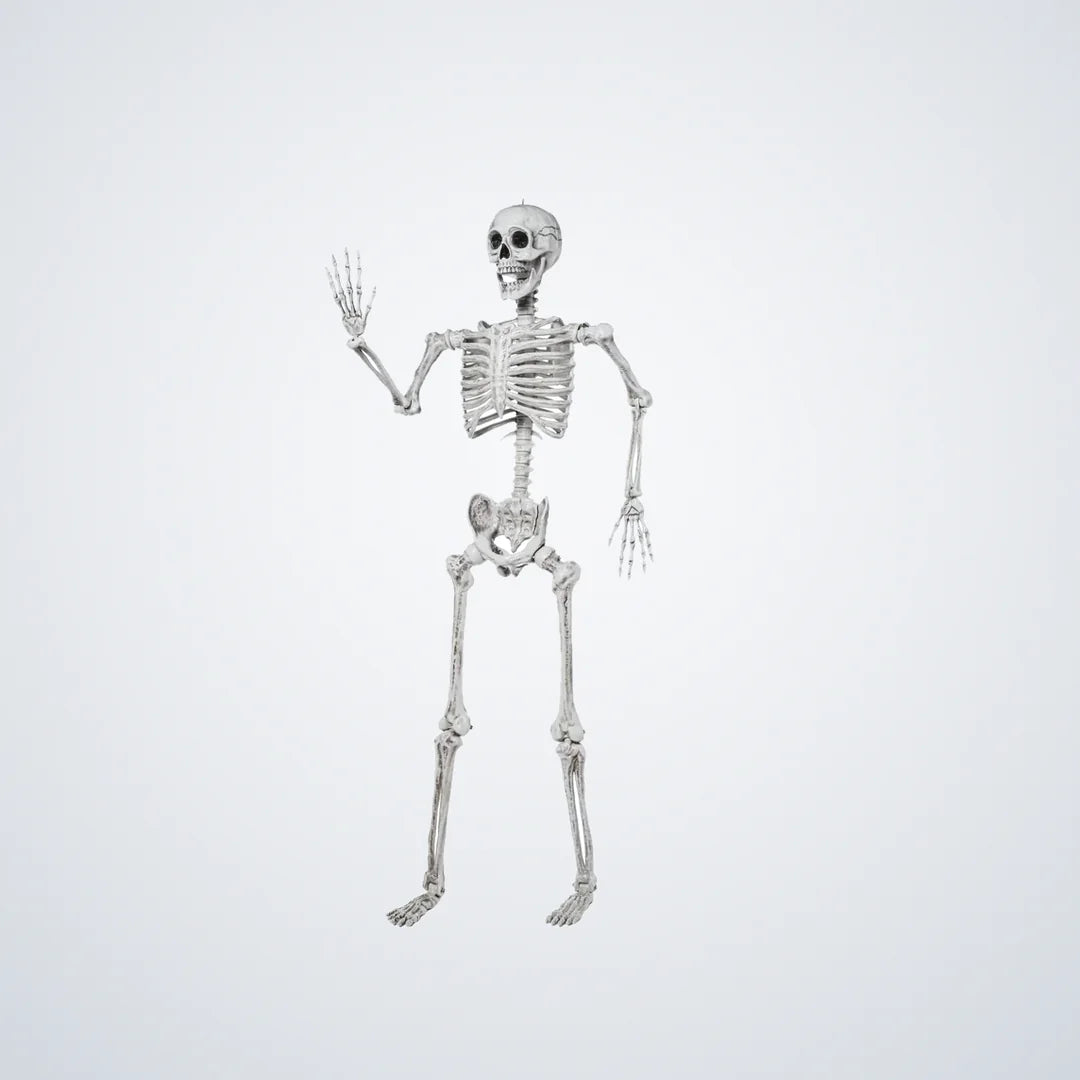 Hauntwick Skeleton, 5.6 ft, photo 1