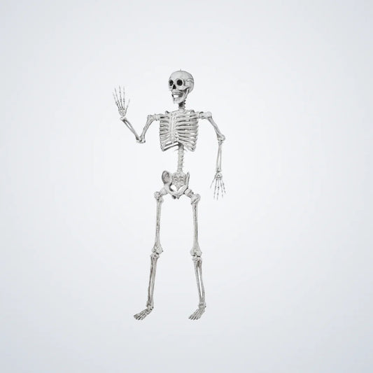 Hauntwick Skeleton, 5.6 ft, photo 1