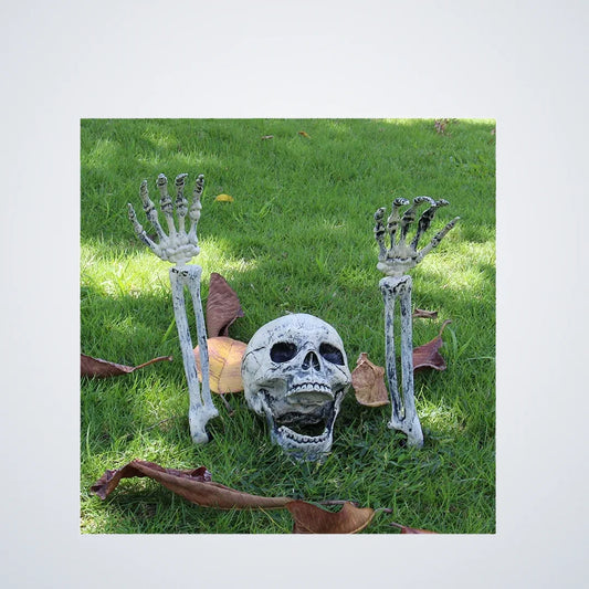 Heathgrave Buried Skeleton, photo 1