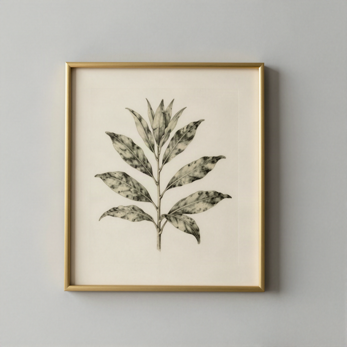 Framed Vintage Botanical Print