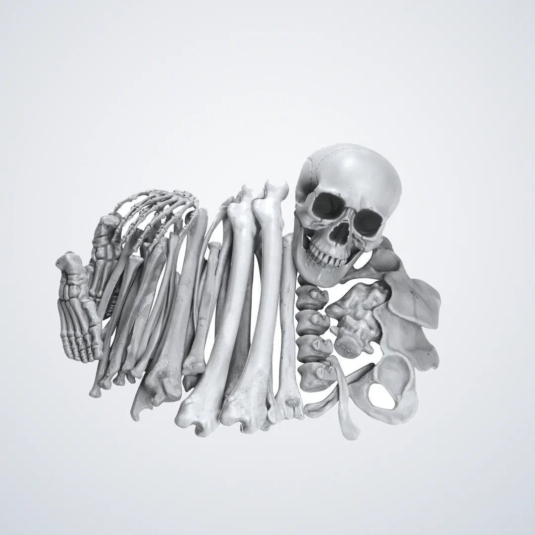 Inkmoor Skeleton, photo 1