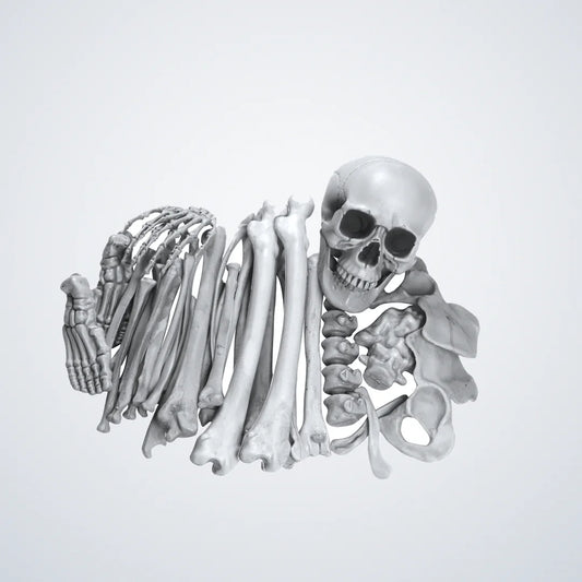 Inkmoor Skeleton, photo 1