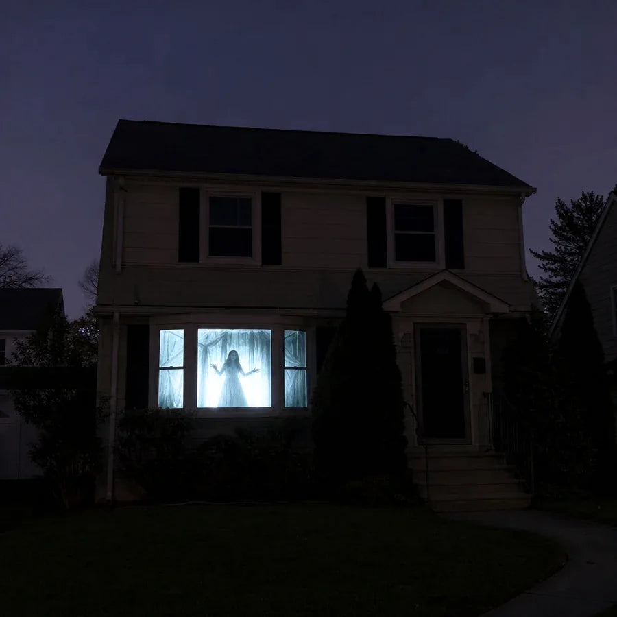 Lockgrave Window Projector, photo 5