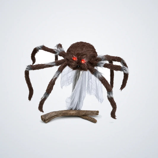 Mawholt Spider, photo 1