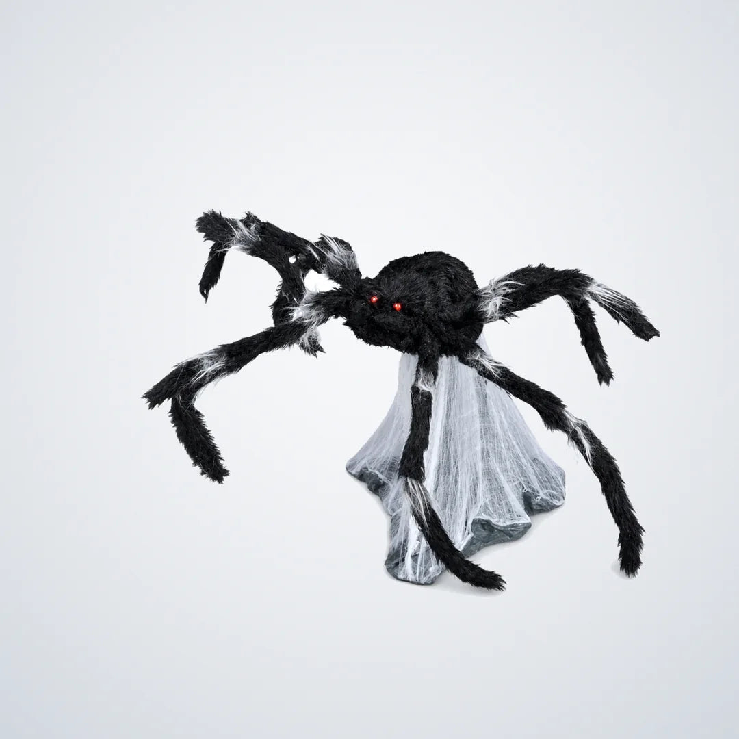 Nockgrave Spider, photo 1