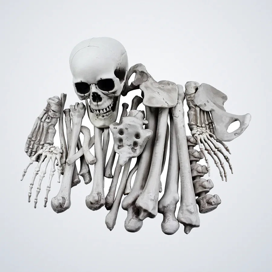 Quillmoor Loose Bones, 28 pieces, photo 1