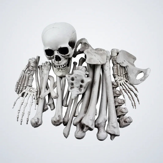 Quillmoor Loose Bones, 28 pieces, photo 1