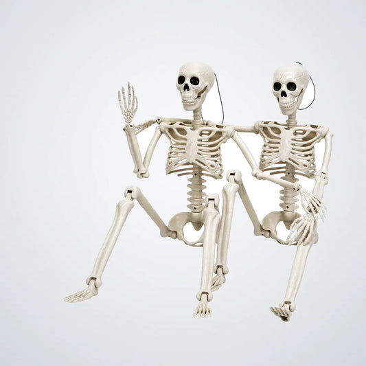 Reedgrave 3 ft Skeleton, 2 pack, photo 1