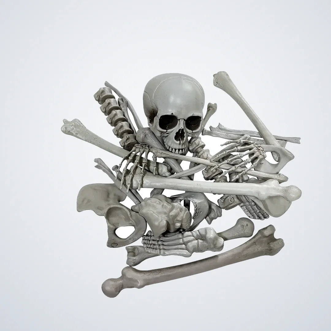Scythemoor Skeleton, photo 1