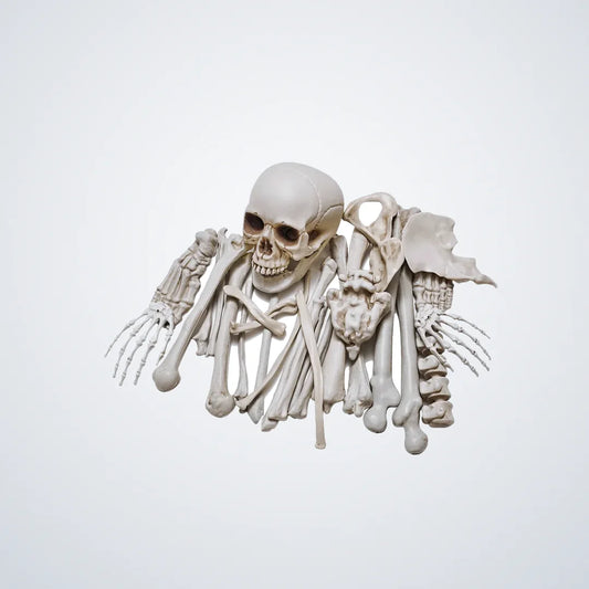 Shrikemoor Loose Bones, 28 pieces, photo 1