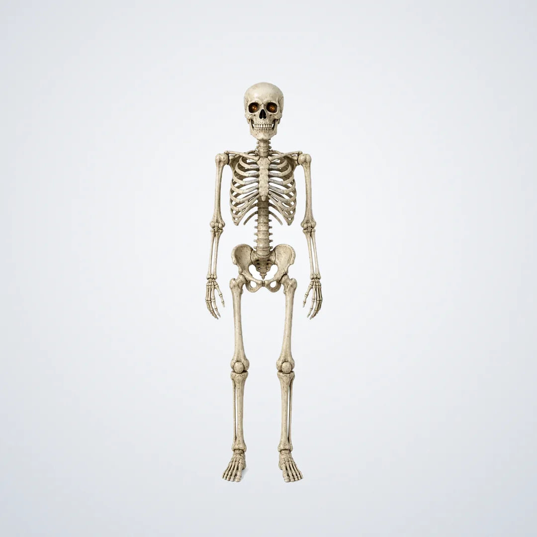 Skelmere Poseable Skeleton, 7 ft, photo 1