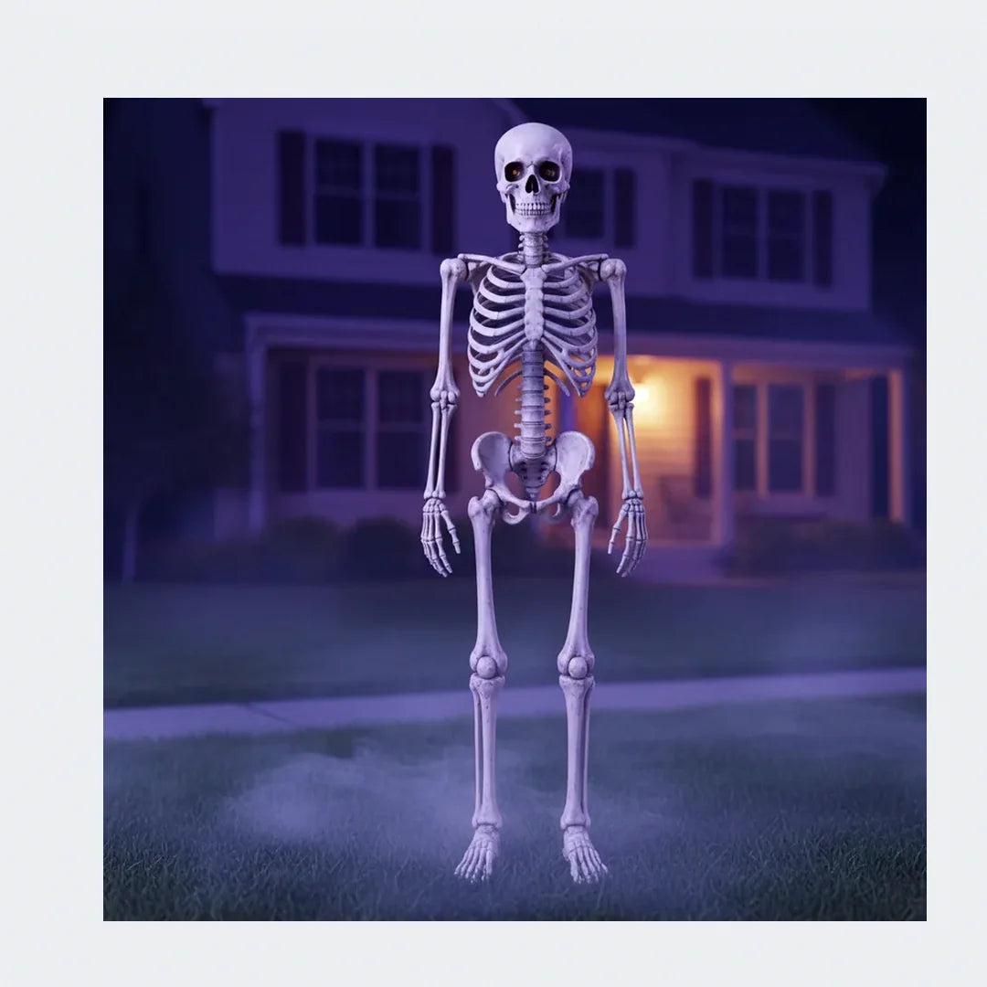 Skelmere Poseable Skeleton, 7 ft, photo 2