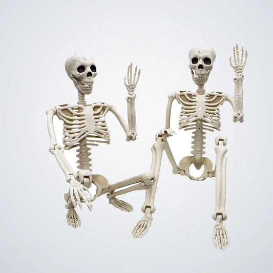 Tarngrave Skeleton, 3 ft, photo 1