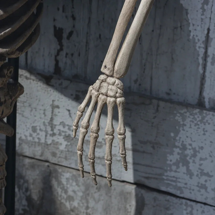Umberfell Inferno Pumpkin Skeleton, 12 ft, photo 7