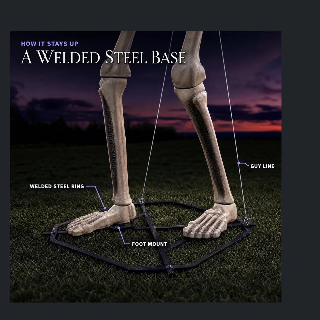 Weepholt Giant Skeleton, 12 ft, photo 8