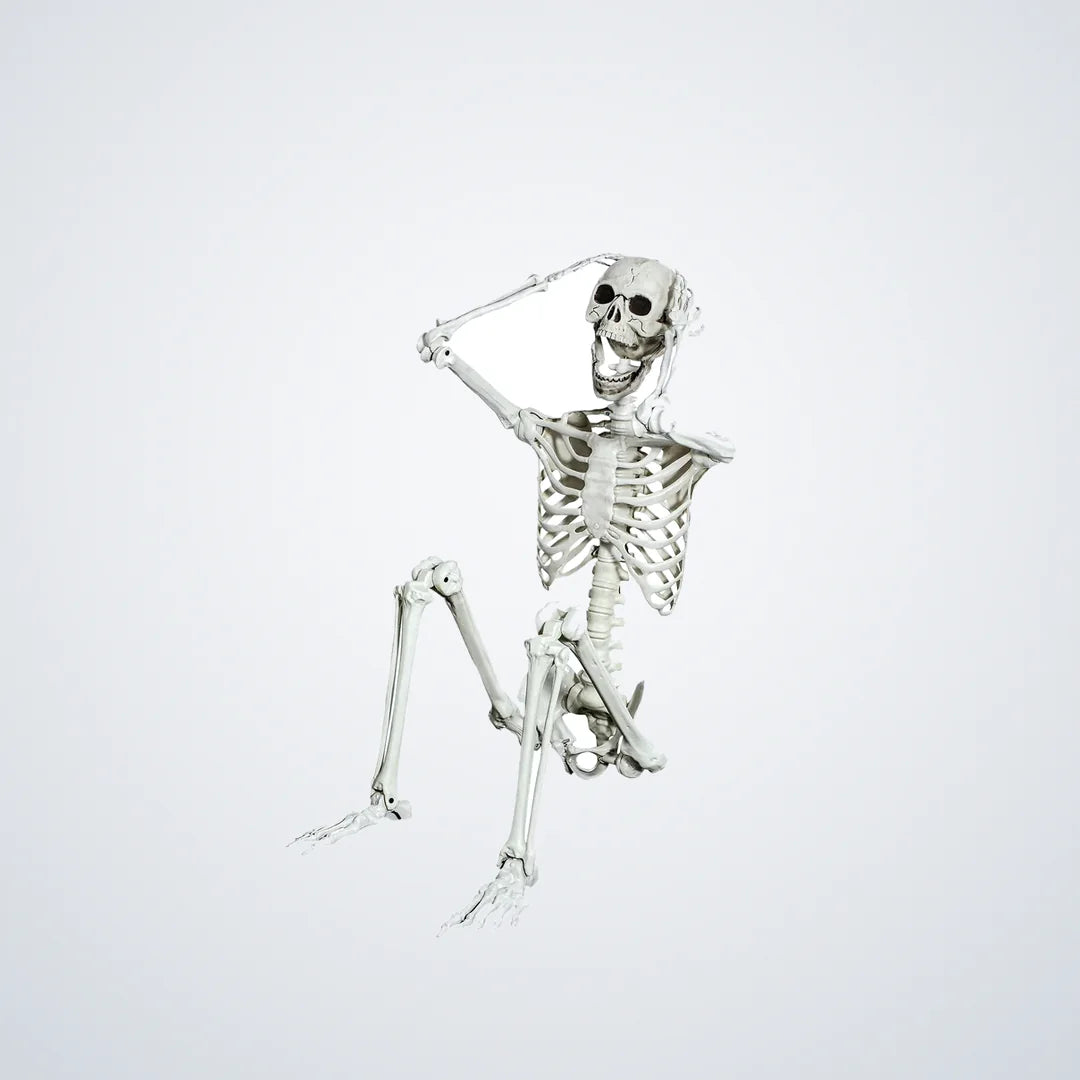 Whisperfen Skeleton, 5.4 ft, photo 1