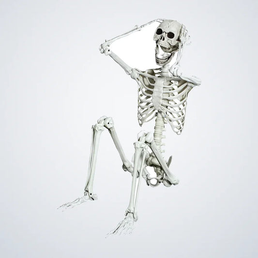 Whisperfen Skeleton, 5.4 ft, photo 1