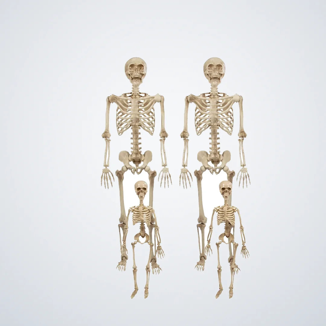 Wispford Skeleton Family, 4 pack, photo 1