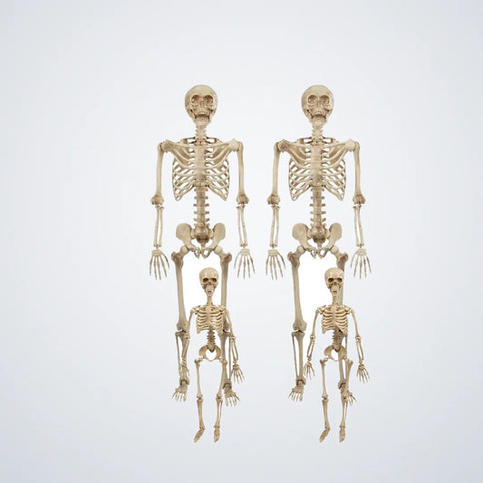 Wispford Skeleton Family, 4 pack, photo 1